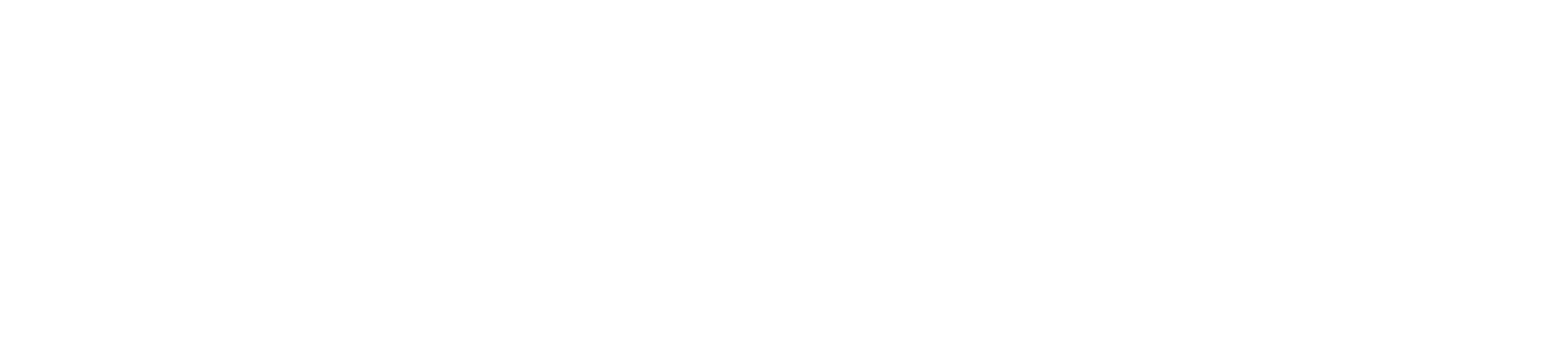 KodeNerds - AI & Software Development